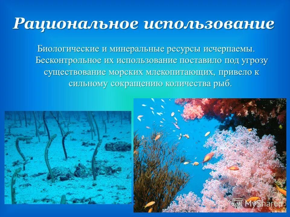 Мировые проблемы биологических ресурсов. Рациональное использование биологических ресурсов. рациональное использование океанов. охрана биологических ресурсов. биологические ресурсы рациональное использование.
