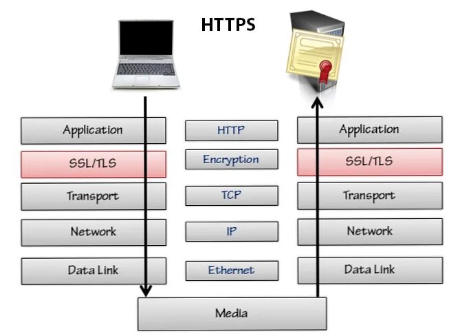 Https applications. SSL шифрование. TLS шифрование. Протокола шифрования SSL. Протоколы SSL И TLS.
