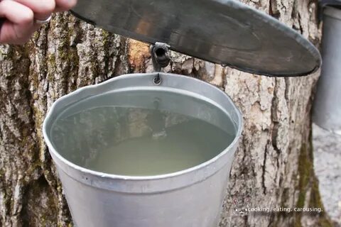 Добыть сок