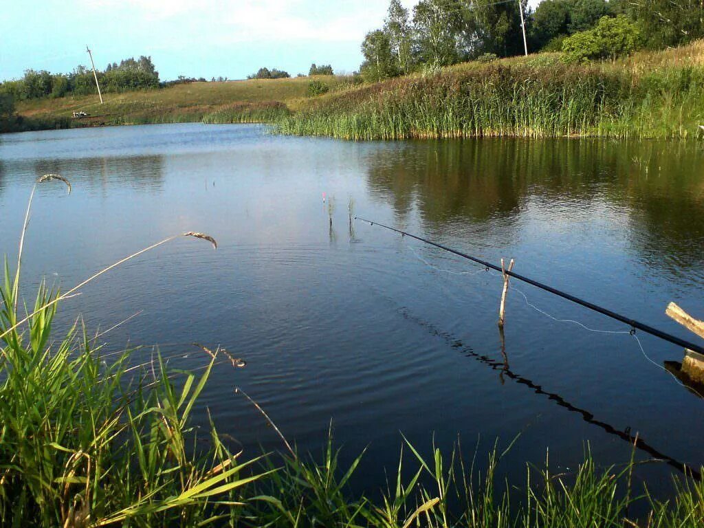 Рыбалка озеро летнее. Рыбалка летом. Озеро с удочкой. Рыбалка на пруду. Река удочка.