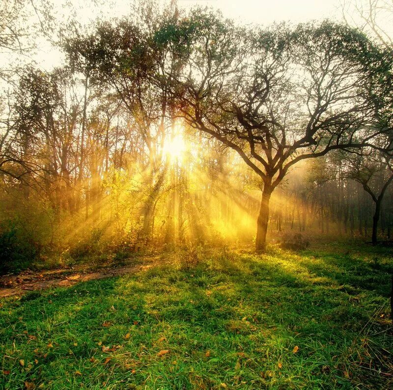 солнце в космосе. огненное кольцо солнце. обоз расположился в стороне от деревни разбор. рассвет солнца. солнце жгло по-вчерашнему воздух был неподвижен и уныл.