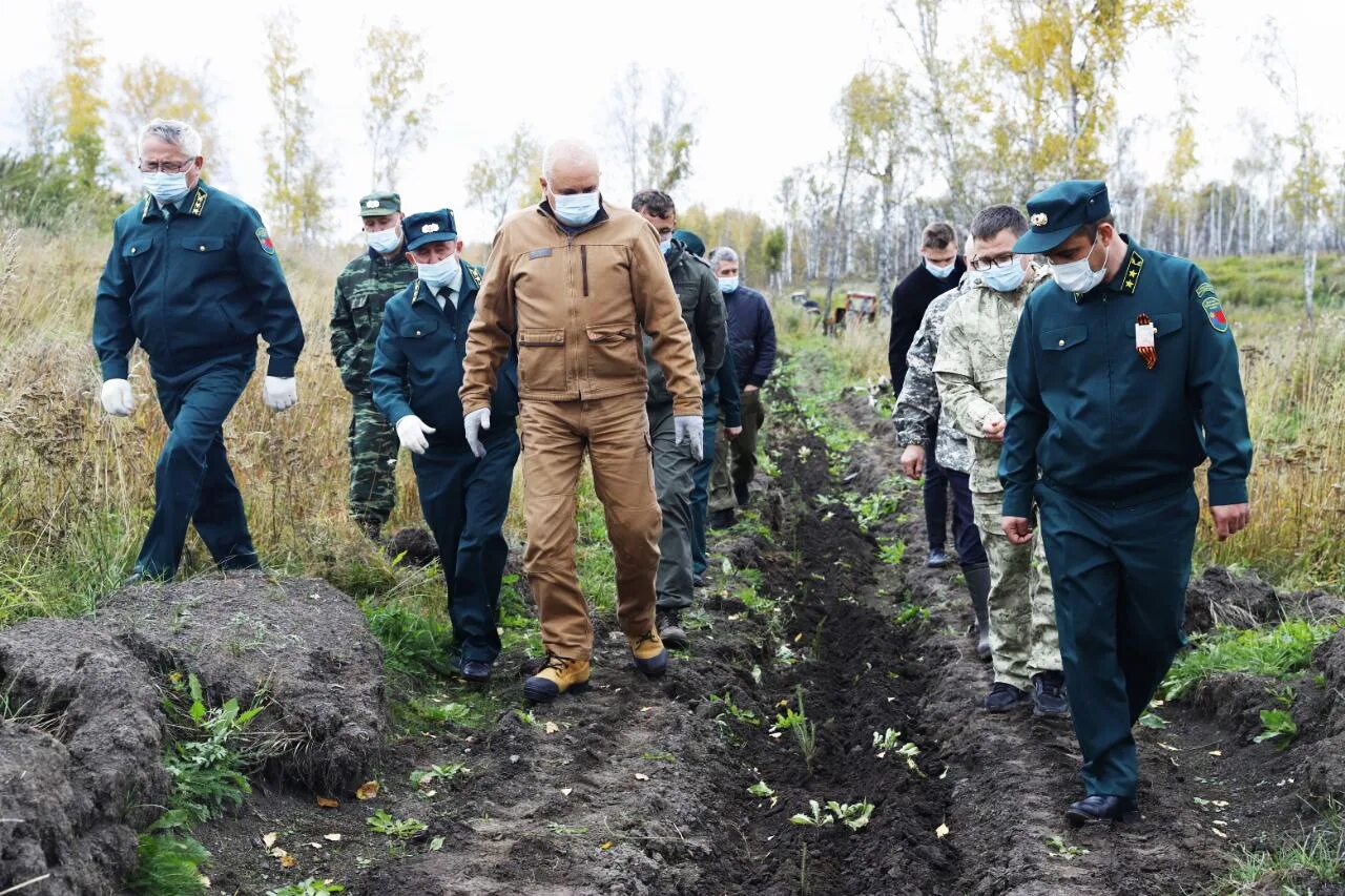 Заходишь в лесхоз и сразу чувствуешь попал. Ижморский лесхоз. ИЖМОРСКОЕ лесничество Кемеровская область. Лесное хозяйство Кемеровской области. Лесхоз Ижморского района.