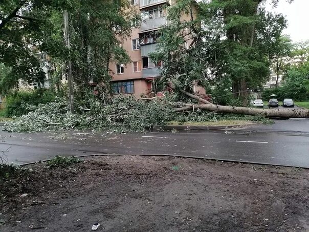 Курск 35 сайт. Ольшанского 35. Улица Ольшанского Курск. Ольшанского 24. Ольшанского 16/11 Курск.