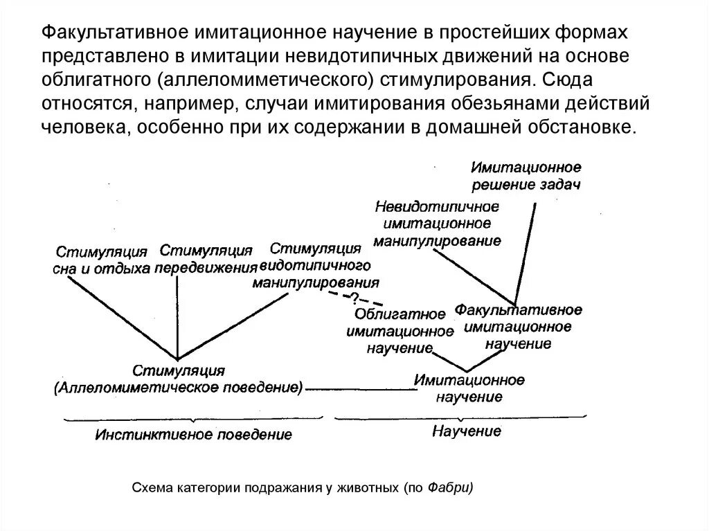 Навыки научение. Факультативное имитационное научение. Факультативная форма научения. Факульиативное научения. Примеры облигатного научения у животных.