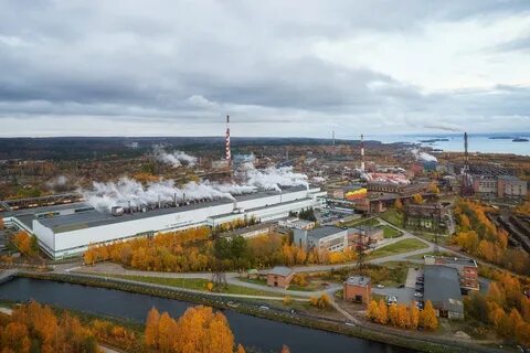 Кондопога промышленность