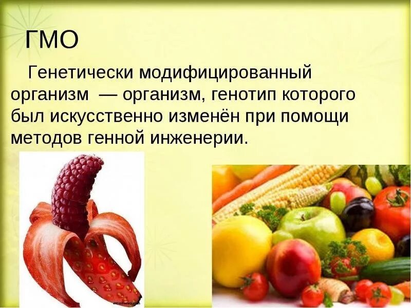 Как расшифровывается гмо. Гмо продукты. генетически модифицированные организмы. генномодифицированные продукты. генетически модифицированный организм.