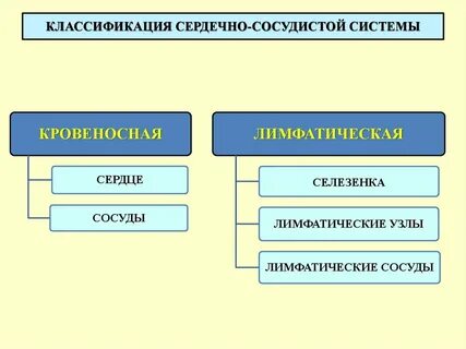 Классификация сердечно
