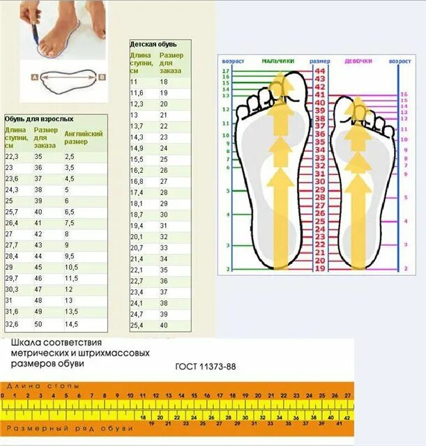 Размеры ноги в сантиметрах мужской. Размерная сетка мужской обуви стандарт. Стандарты размерной сетки по обуви. Размерная сетка детской обуви стандарт. Размерная сетка ГОСТ обуви мужской по стельке таблица размеров.