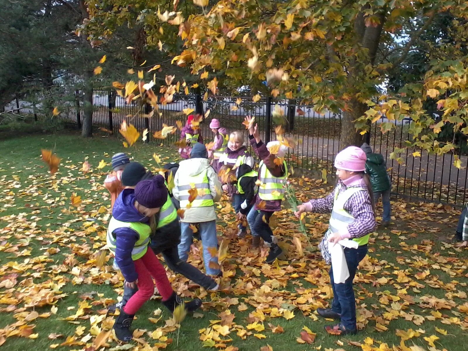 Осенние школьные каникулы. Осенние каникулы картинки. Поход школьников в осенний лес. Осенний каникулярный лагерь. Дети осень счастье.