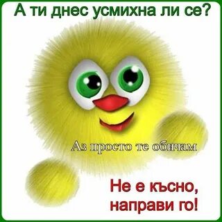 Мохнатое солнце