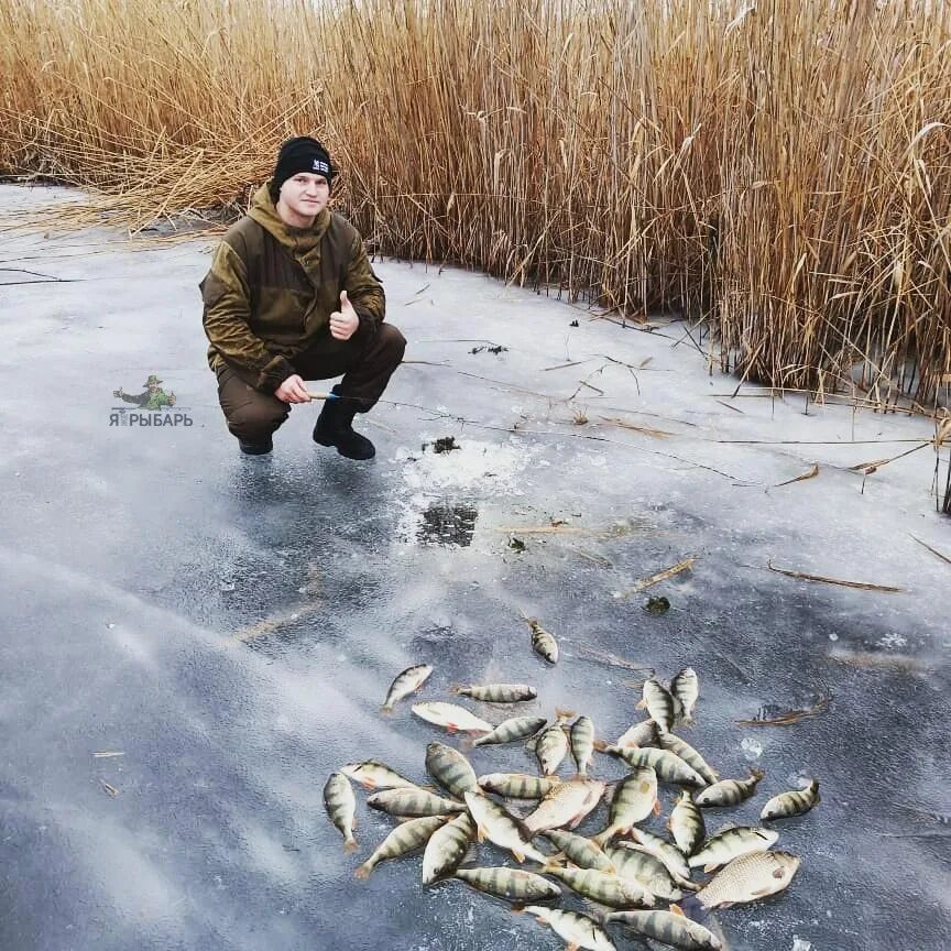 Клев в нижневартовске. Рыбалка в январе. Рыбалка май. Майская рыбалка. Зинчук рыбарь.