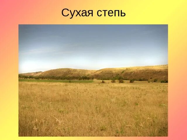 Зона сухой степи России. Степь природная зона. Сухая степь. Проект про степи. Какие природные зоны есть в степи