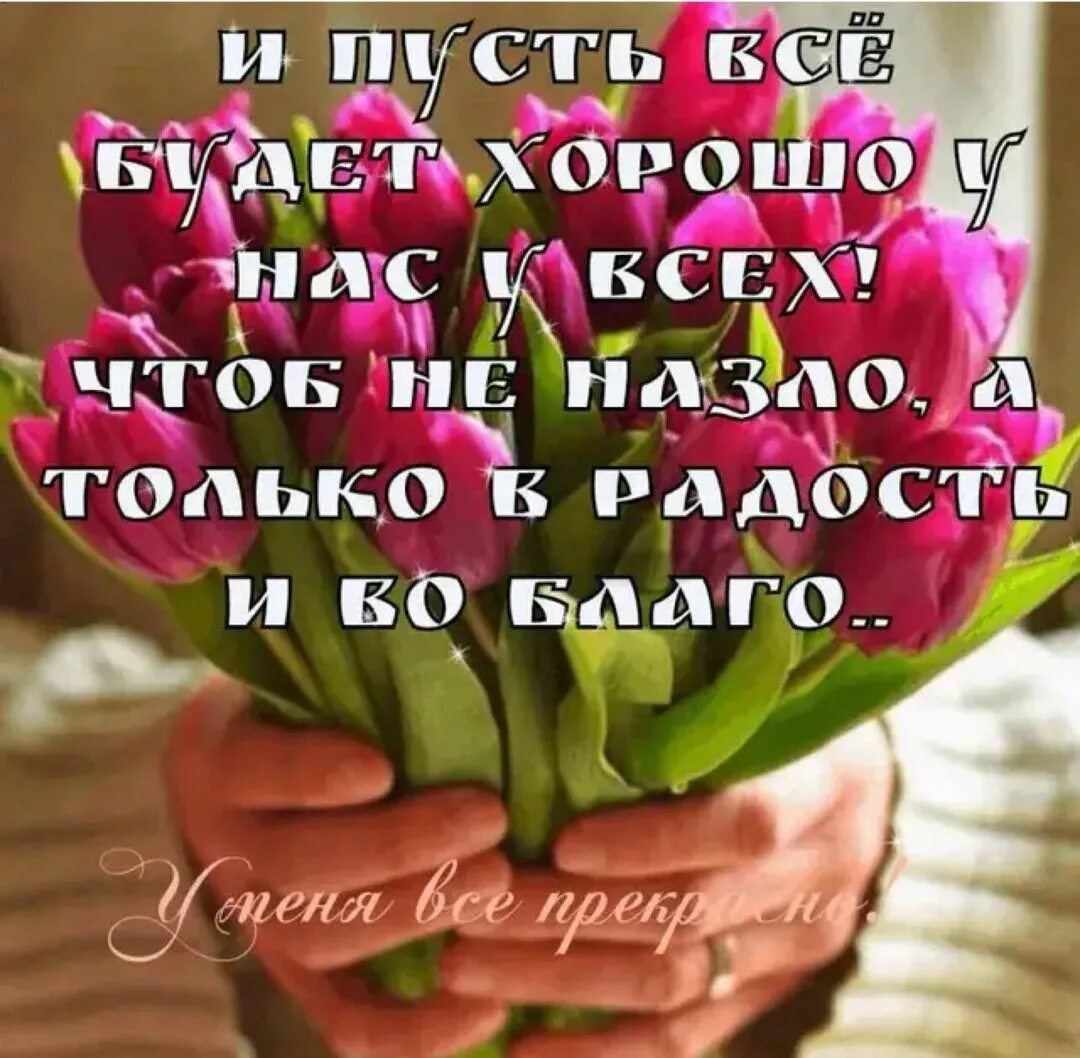 Здоровье пусть будет всегда. Пусть день начнется с доброты. Пожелания здоровья мамочке. Пожелания с утра счастья радости. Пусть этот день.