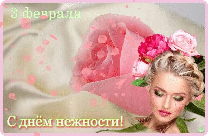 Международный день нежности. Международный день нежность. 3 февраля день нежности открытки. Всемирный день нежности. Международный день нежности.