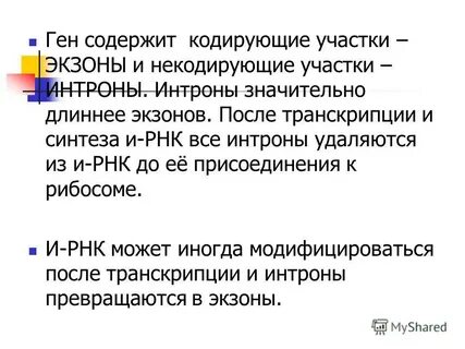 Ген содержит