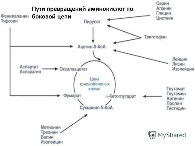 Путь трансформации. Путь трансформации