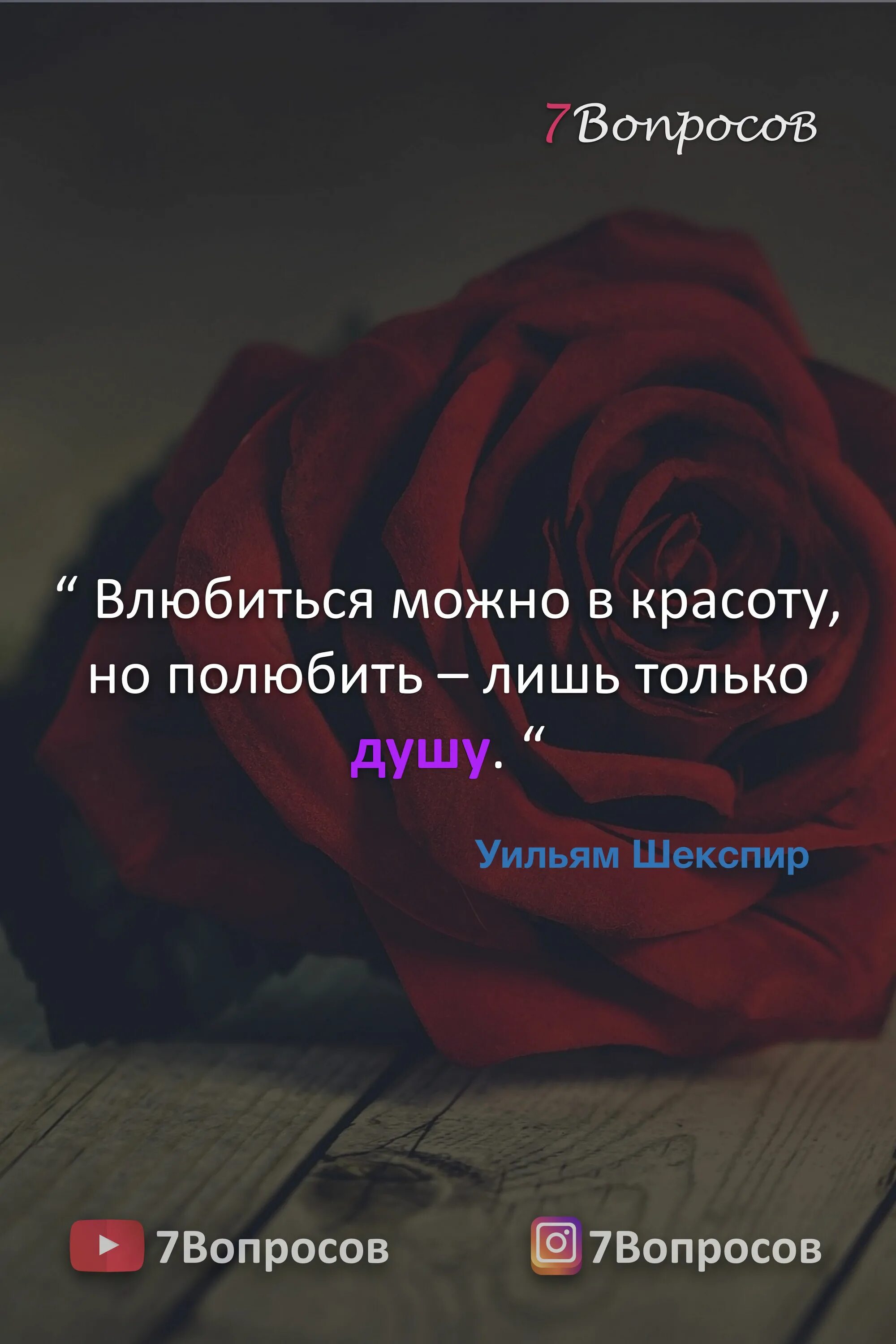 Влюбиться можно в красоту но полюбить лишь. Шекспир влюбиться можно в красоту но полюбить лишь только душу. Влюбиться можно в красоту. Шекспир влюбиться можно в красоту. Влюбиться можно в красоту но полюбить только душу.