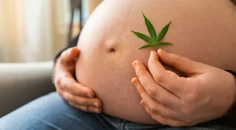 Herbs For Pregnancy And Childbirth