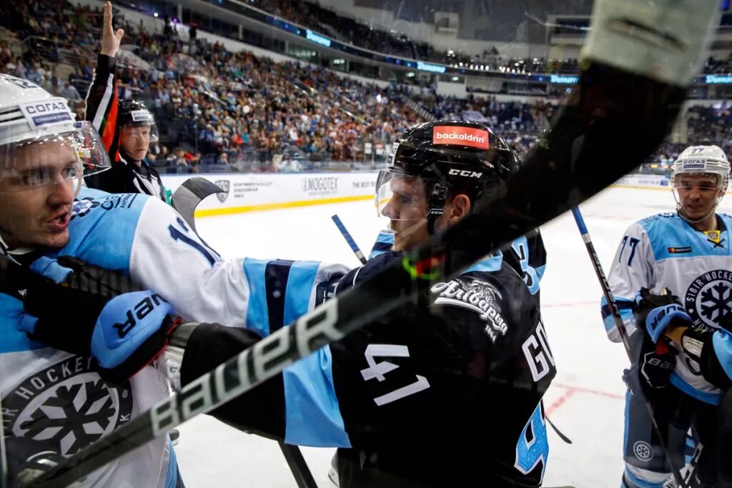 хоккейная форма минского динамо. хоккей предсезонка. минское динамо кхл новости состав. минское динамо кхл новости состав. динамо минск зубр.