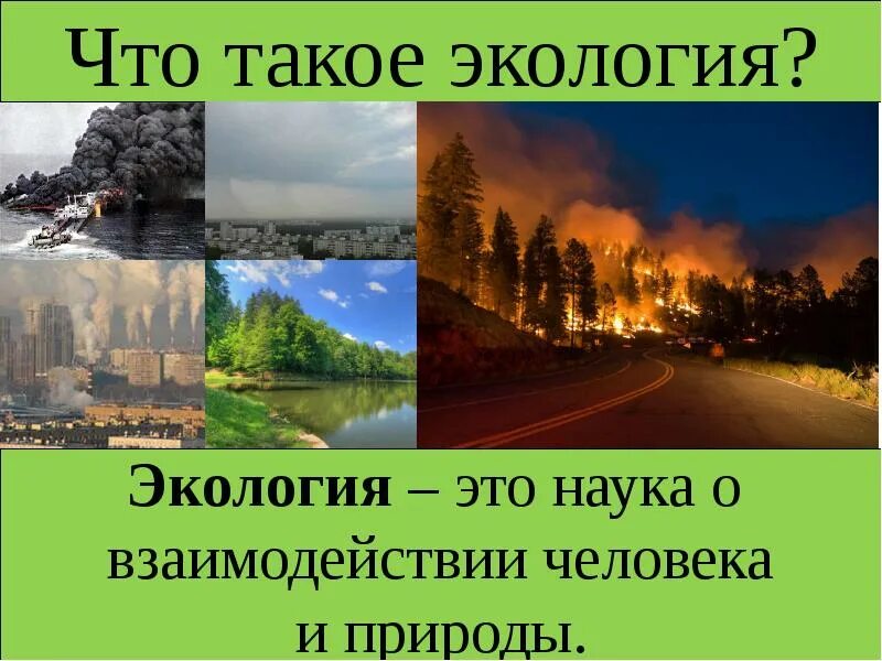 Презентации экология 4 класс. Экология презентация. экология определение. презентация на тему экология. что такое экология кратко.