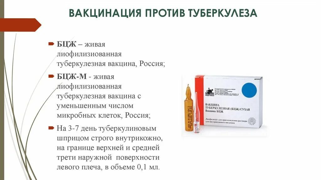 Вакцина против бцж. БЦЖ туберкулез прививка вакцина. Вакцина БЦЖ схема иммунизации. Вакцина БЦЖ название препарата. Вакцина против туберкулеза вводится новорожденному.