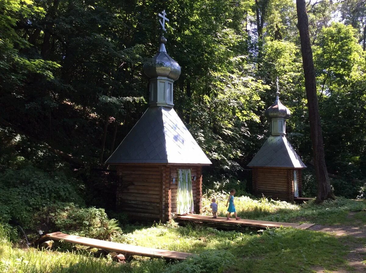 Родник Салолейка. Святой источник Салолейка Пенза. Салолейка Нижнеломовский район. Родник Святой Пенза. Святой источник код