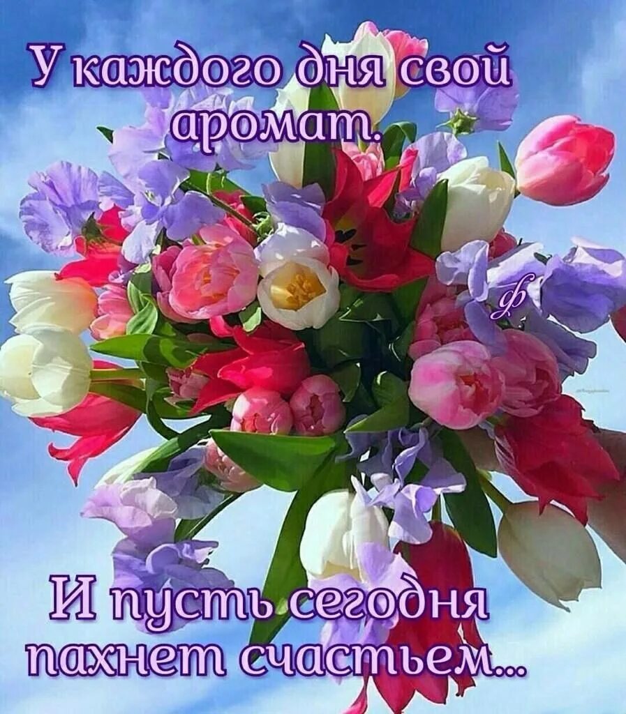 Дари радость спасибо