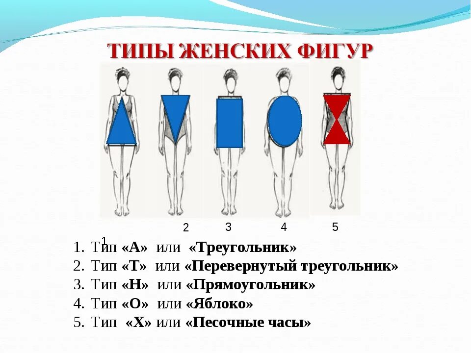 Как определить тип фигуры калькулятор. Типы фигур. как определить тип телосложения. типы фигур у женщин. типы женского телосложения.