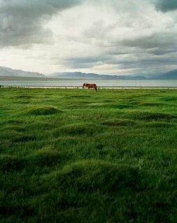 Inner mongolia