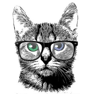 Крутой котик рисунок