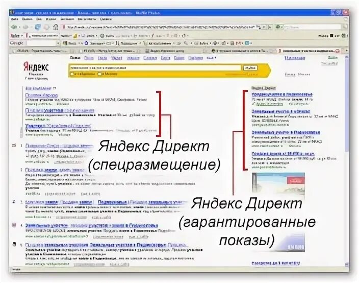 Т директ