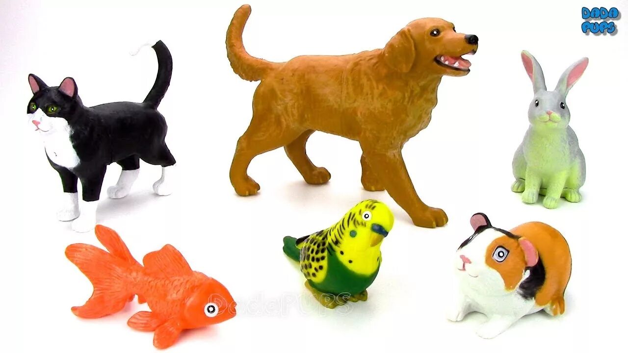 Pets in zetland. Фигурки животных со звуком. Игрушки животные со звуком. Названия домашние животные Pets. Учим животных для самых.