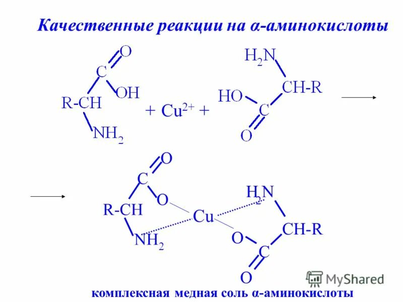 общая качественная реакция на аминокислоты. качественные реакции на пептиды. биуретовая реакция на пептидную связь. биуретовая реакция на пептидную связь реакция.