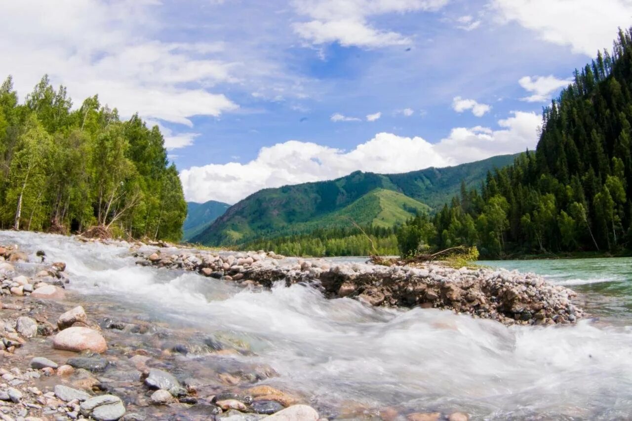 Река кокса горный Алтай. Реки Усть Коксинского района. Горный Алтай село Усть кокса. Горные реки Усть кокса. Усть кокса телефон