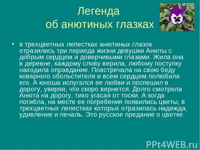 Анютины глазки легенда. Легенда про Анютины глазки для 2 класса. Миф о цветке Анютины глазки 2 класс. Анютины глазки Легенда о цветке для 2 класса.