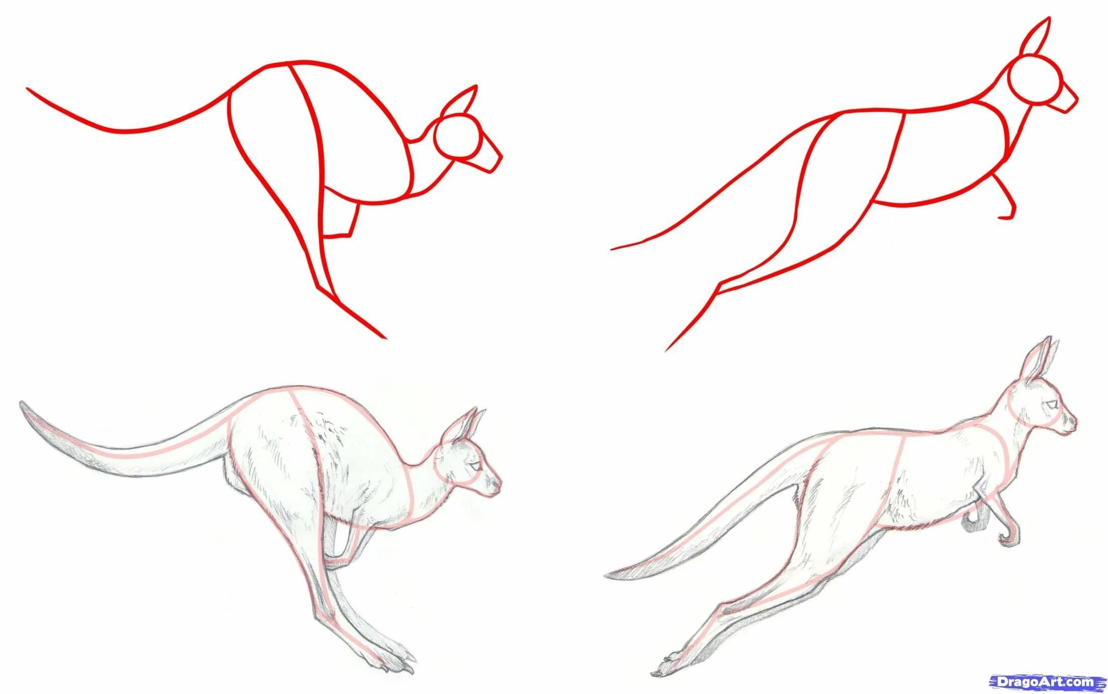 Зарисовки животных в движении. Рисование животных в движении. Эскиз животного в движении. Животные в движении карандашом. Как нарисовать любое животное