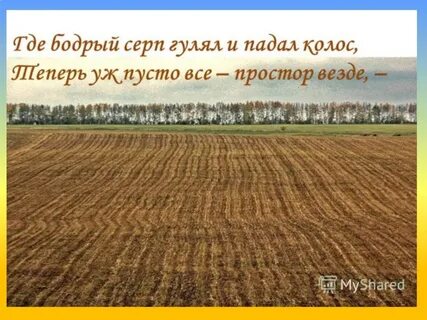 Стих где серп гулял и падал колос