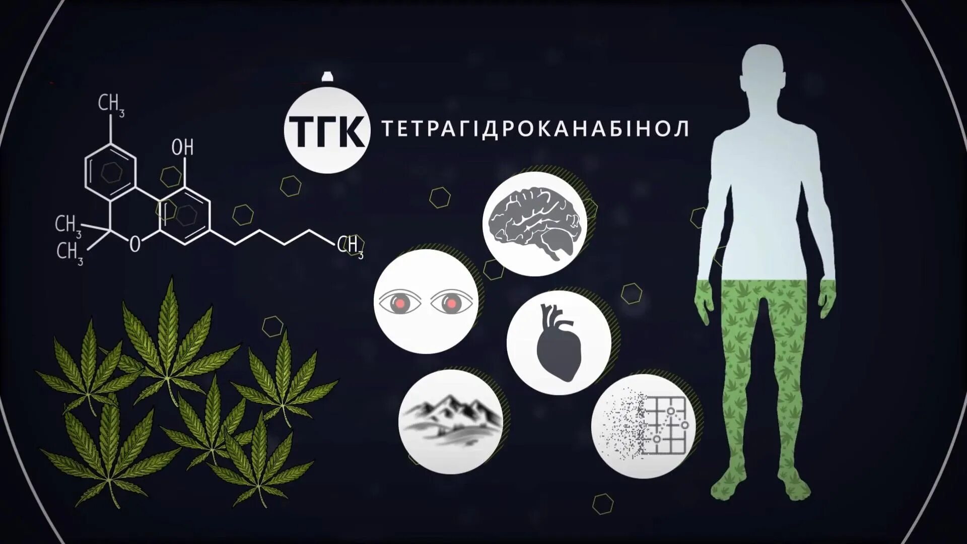 Как поставить тгк в профиле тг. Употребление тгк. тгк это наркология. тгк наркосленг. тетрагидроканнабинол.