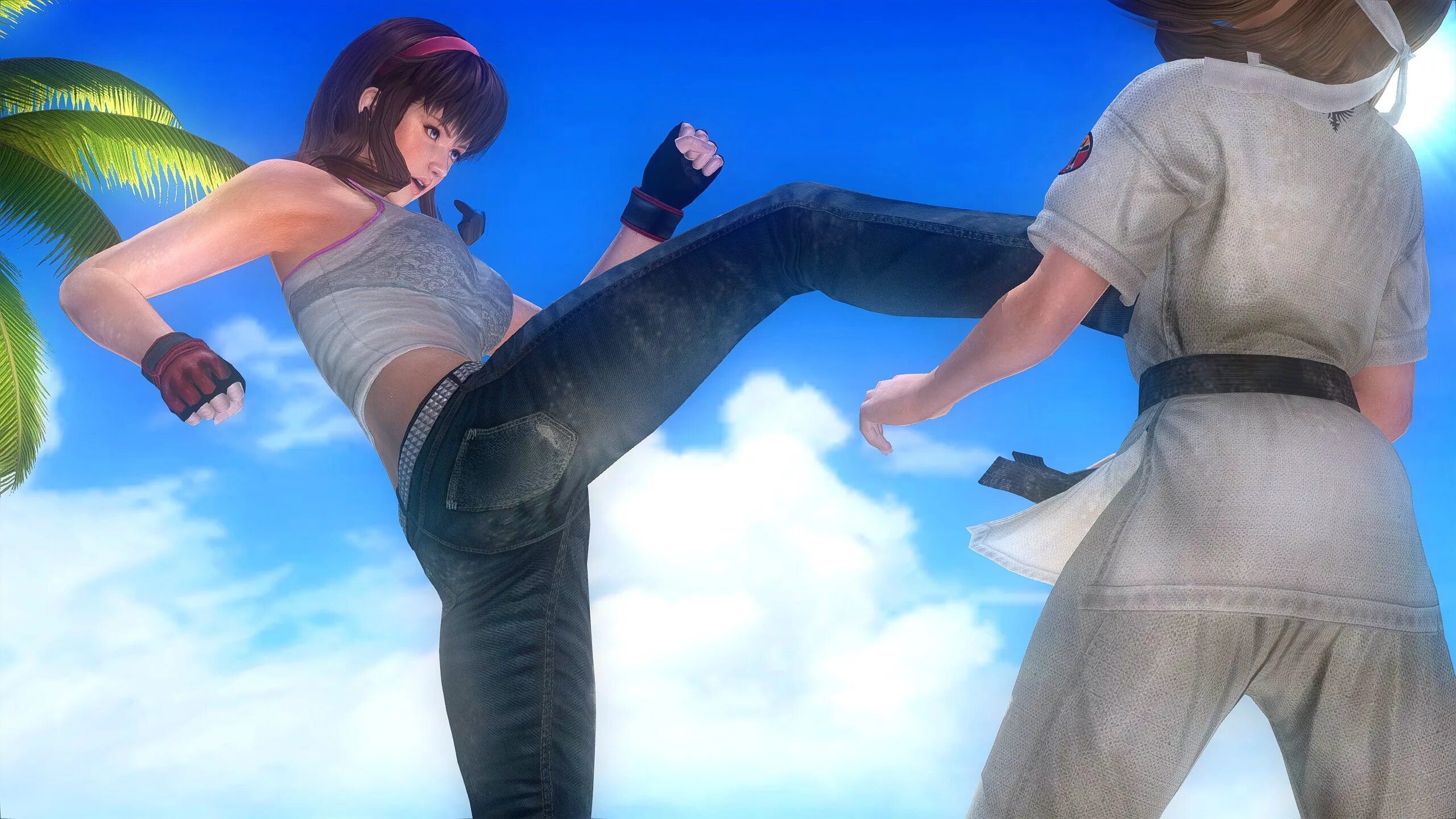 Хитоми Dead or Alive. Dead or Alive (1999). Dead or Alive 5 Hitomi. Игра Dead or Alive Hitomi.