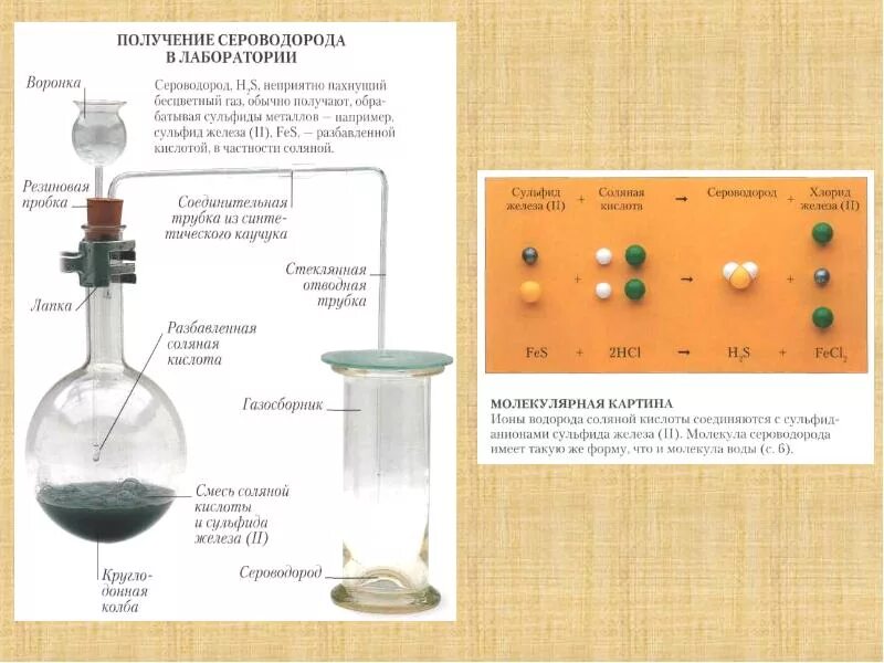 Сероводородная кислота и вода. Получение сероводорода. Получение сероводорода в лаборатории. Способы получения сероводорода. Лабораторный способ получения сероводорода.