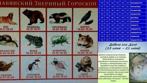 Славянский гороскоп по дате животные