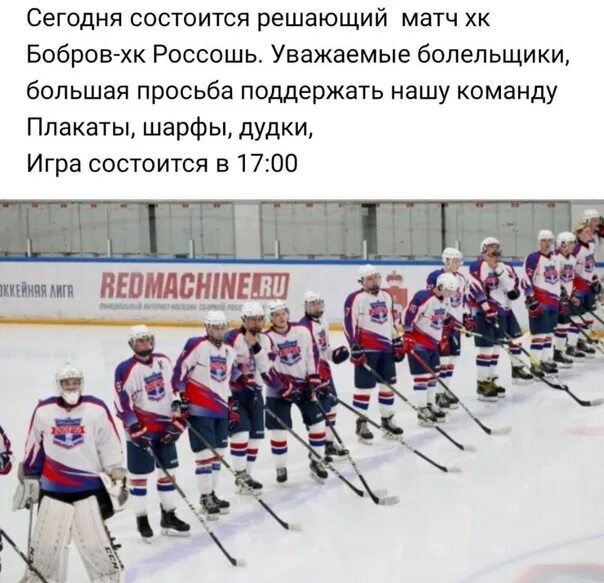 Нмхл тамбов. Хк бобров нмхл. команда бобров хоккей. хк видное нмхл. хк бобров 2010.