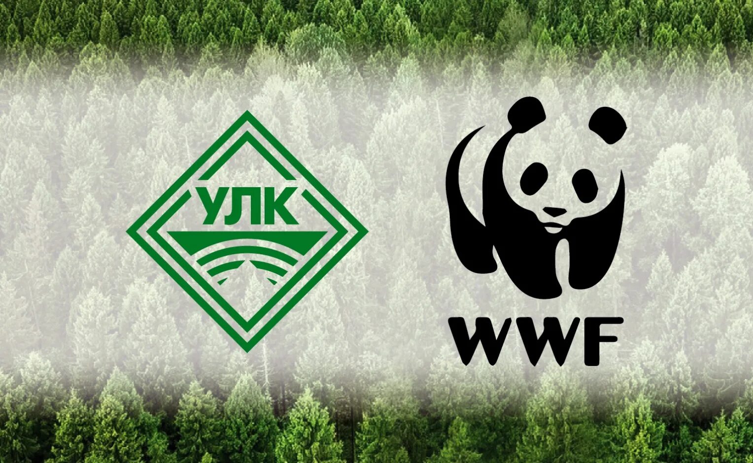 Всемирный фонд дикой природы WWF России. ВВФ фонд дикой природы. WWF природа. WWF логотип.
