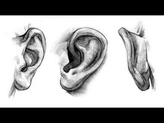 Академический рисунок уха. Ухо рисунок. ухо штриховка. анатомия уха рисунок. стилизованное ухо рисунок.
