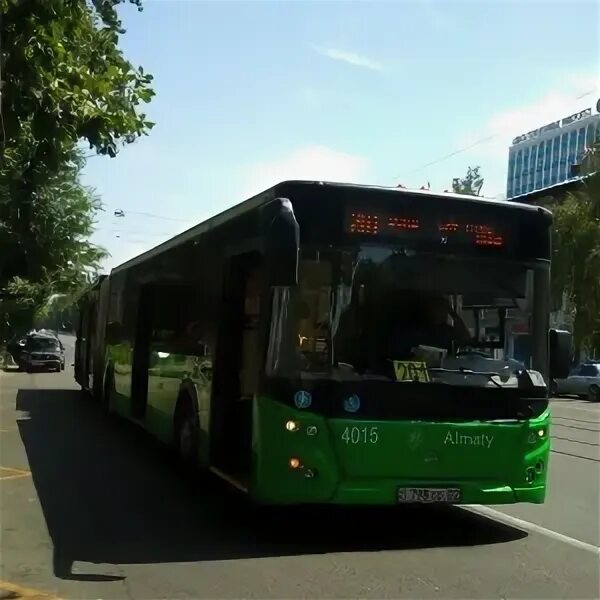 Автобус 201. Автобус 201 маршрут. Картинки автобус 201 длинный. Картинки автобус 201 около красной площади.