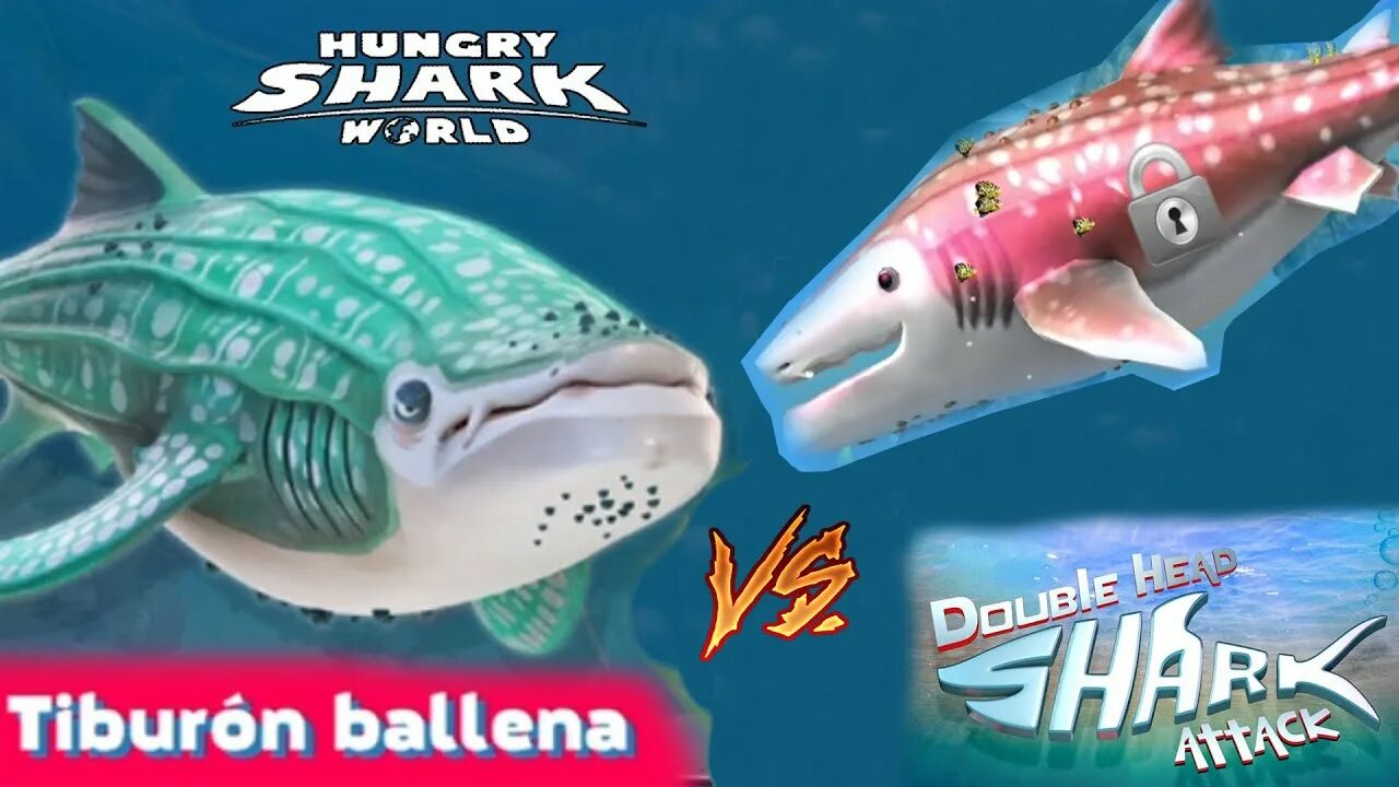 Attack shark keyboard. Шарк атак атак шарк. тарелка shark attack bowl. megamax double head shark вики. клавиатура attack shark r86.
