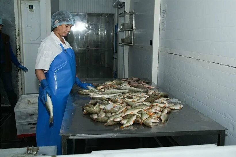 Fish Man, рыба и морепродукты, Олимпийская ул., 1Е, Куйбышев - Яндекс Карты