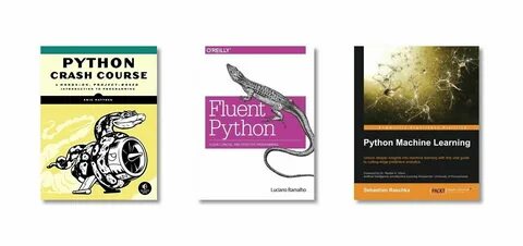 Python игры задачи