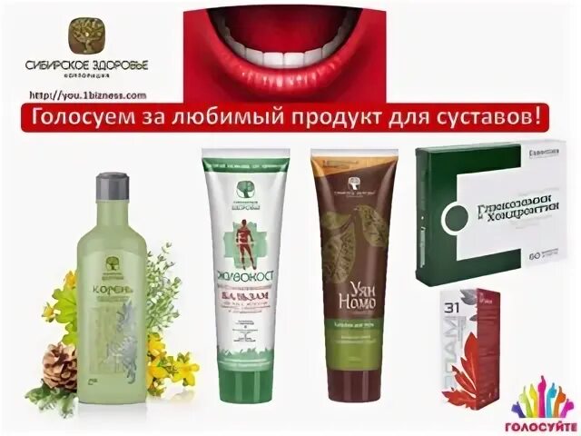 Сибирский войти