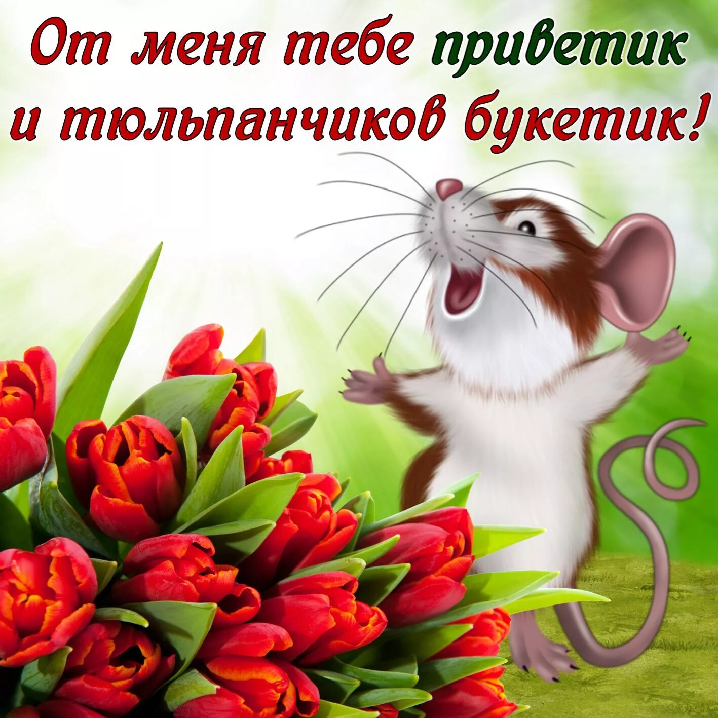 Открытки привет. Открытки с приветом и пожеланиями. Привет открытки красивые. Приветик от меня.